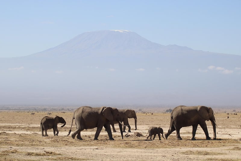 Tented Camp at Sunset